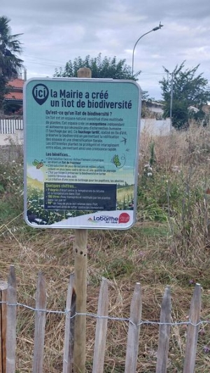 ILOTS DE BIODIVERSITÉ