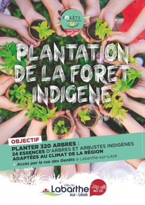 Plantation de la forêt indigène le dimanche 6 décembre